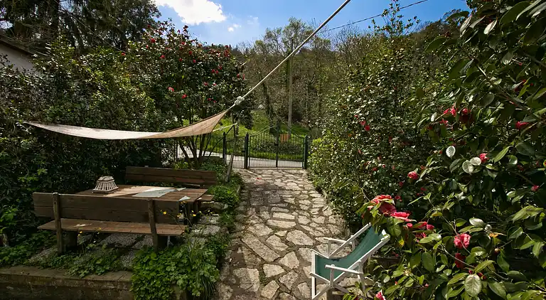 Holiday home in Donoratico