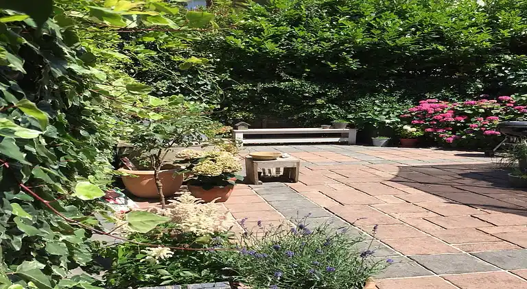 Sommerhus i The Hague Center