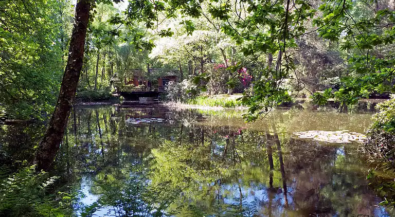 Cottage in Opglabbeek