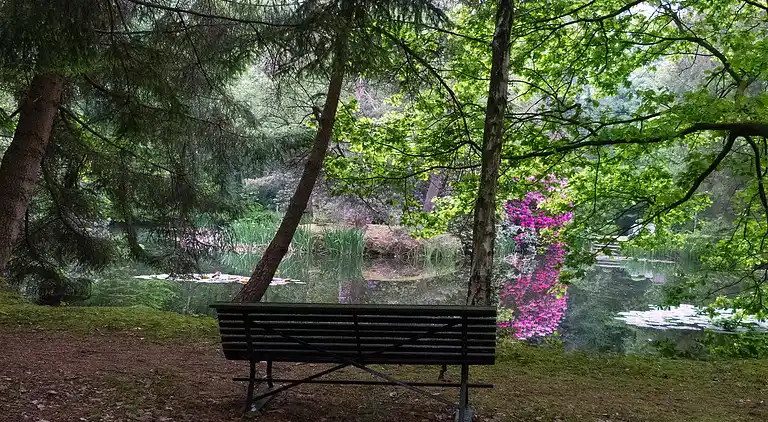Cottage in Opglabbeek