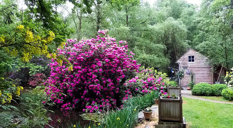 Cottage in Opglabbeek