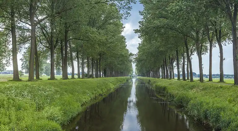 Herregård i Sint-Jan-in-Eremo