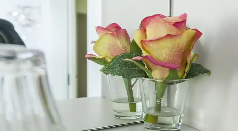 Herregård i Sint-Jan-in-Eremo