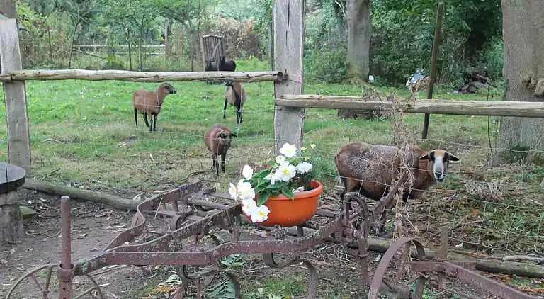 Manor house in Kägsdorf