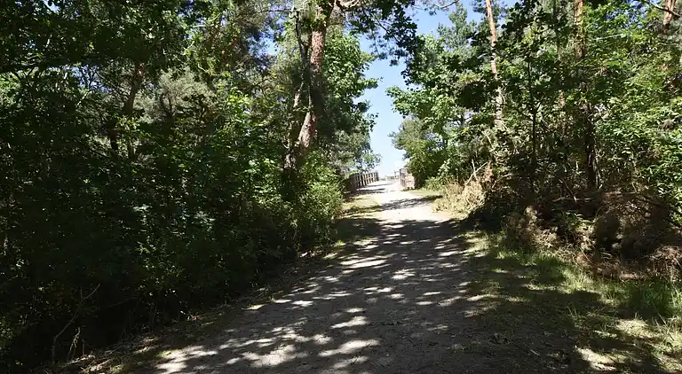 Ferielejlighed i Ahrenshoop