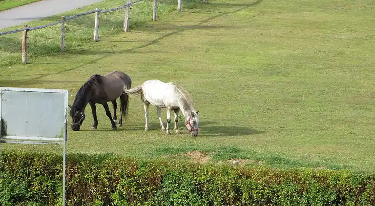 Ferielejlighed i Brusow