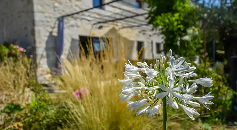 Holiday home in Pradines