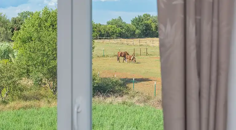 Landhaus in Loborika