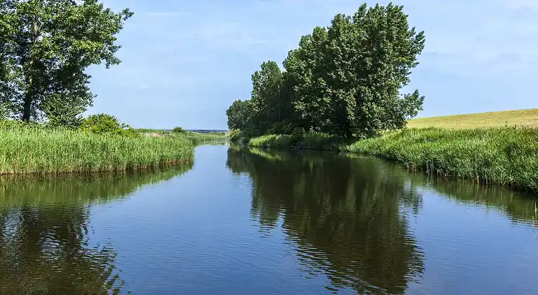 Sommerhus i Wilhelminadorp