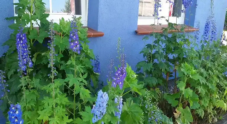 Apartment in Pruchten