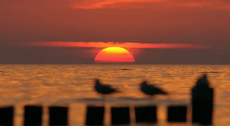 Apartment in Kühlungsborn Ost