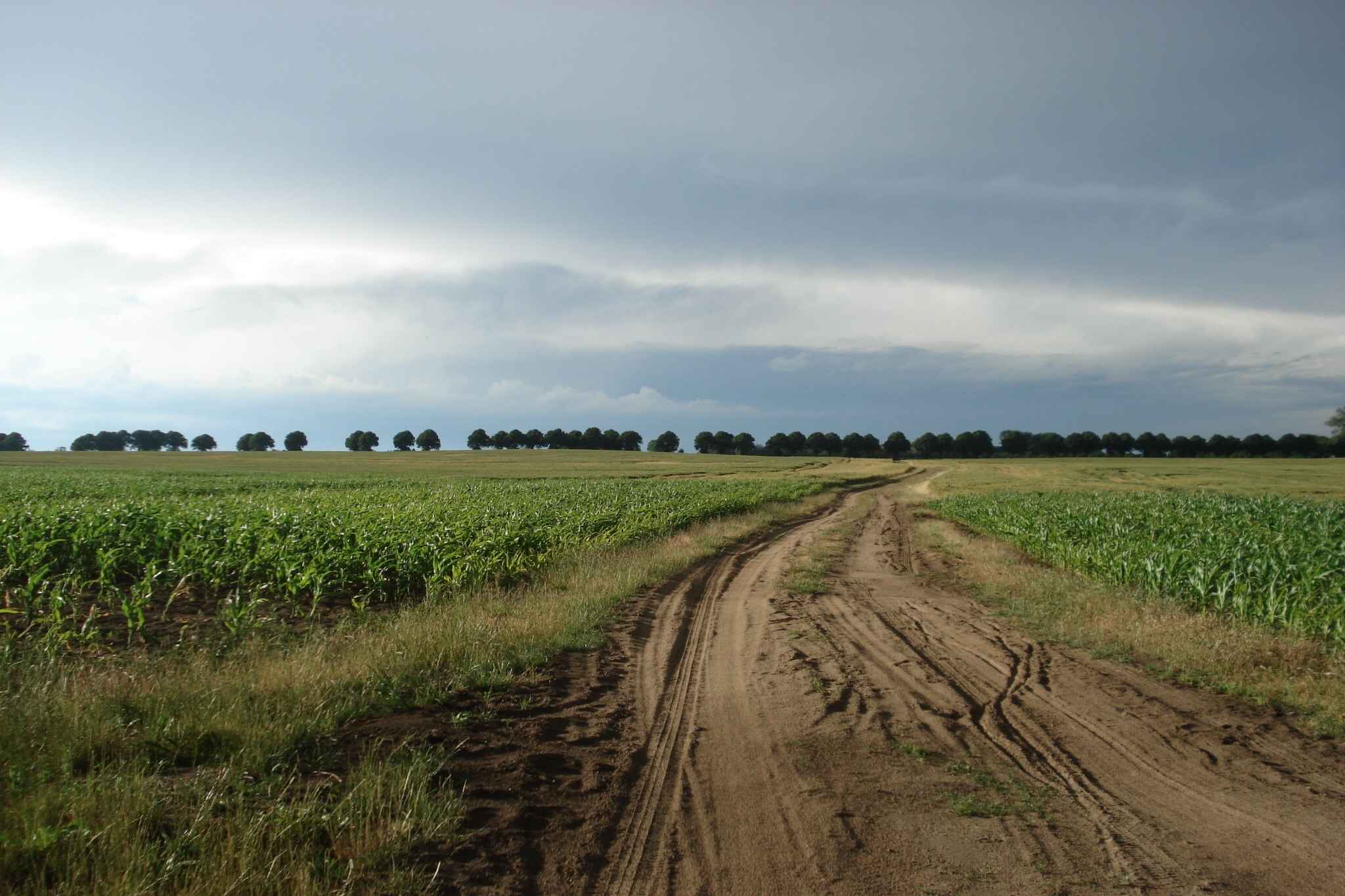 Large Image