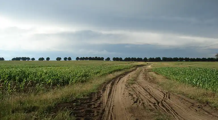Ferienwohnung in Neuburg