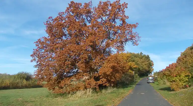 Ferielejlighed i Marlow