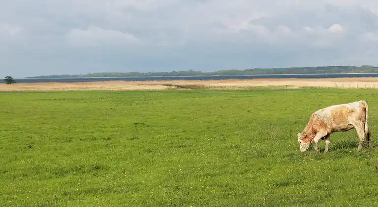 Ferienwohnung in Neuburg