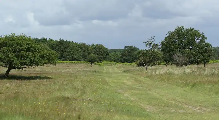 Vakantiehuis in South Holland