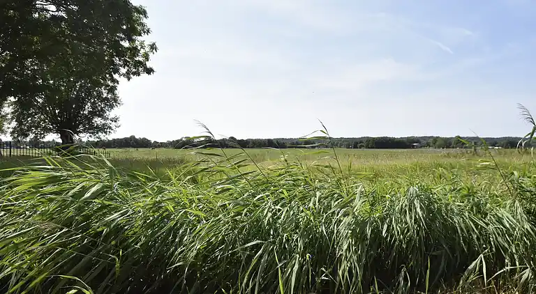 Farm house in Schoorl