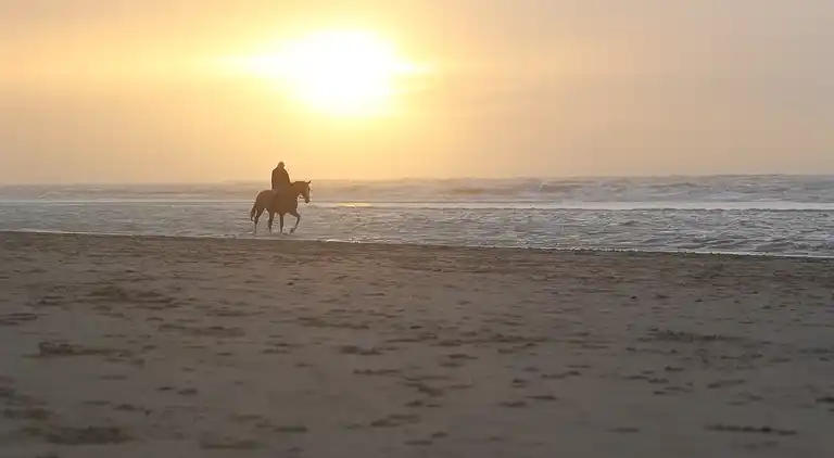 Vakantiehuis in South Holland