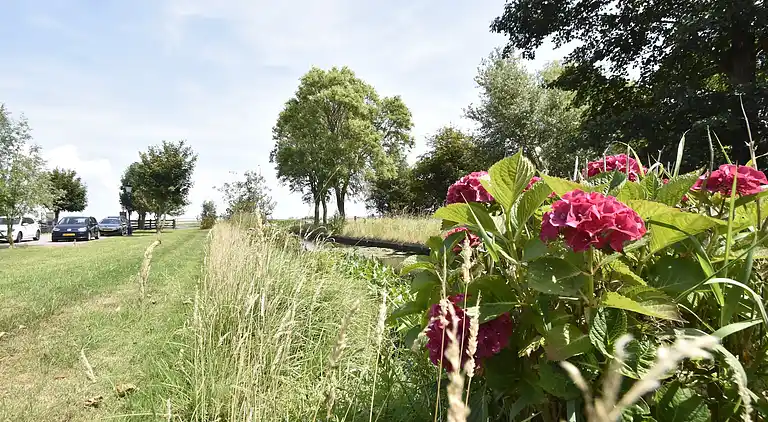 Farm house in Schoorl