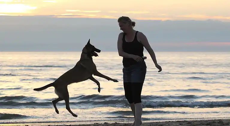 Vakantiehuis in South Holland