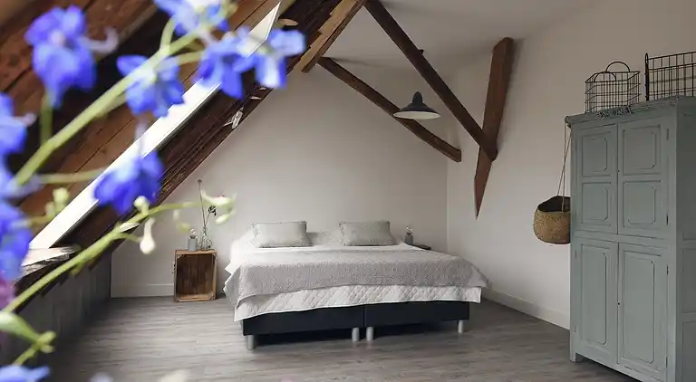 Boerderij in Callantsoog