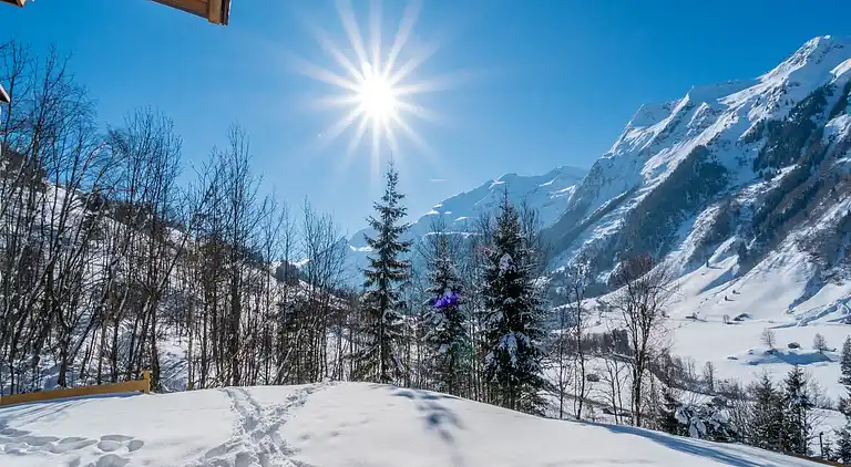 Holiday home in Bucheben