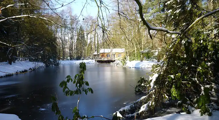Cottage in Opglabbeek