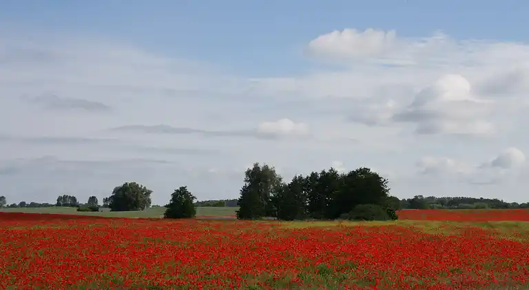 Ferielejlighed i Retschow