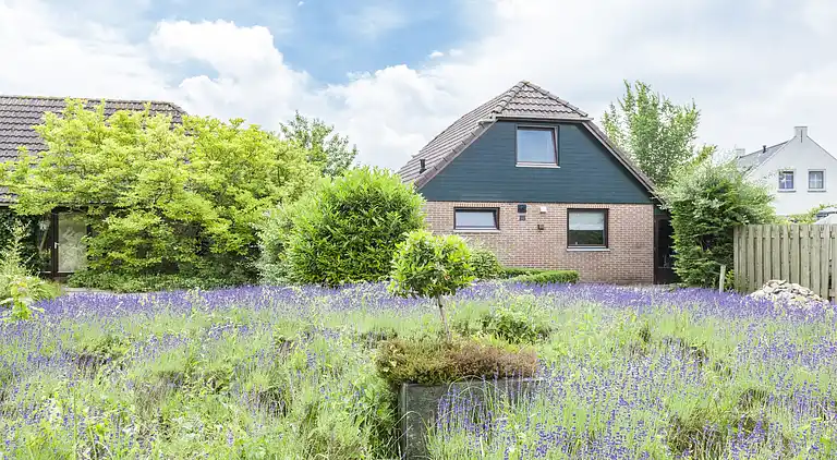 Holiday home in Wolphaartsdijk