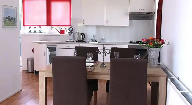 Bungalow  i Tzummarum