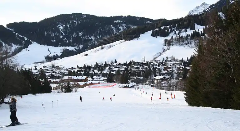 Ferielejlighed i Dienten am Hochkönig