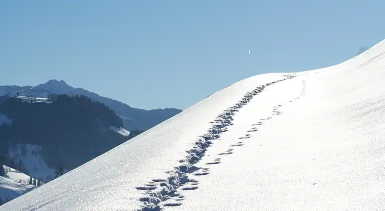 Ferielejlighed i Dienten am Hochkönig