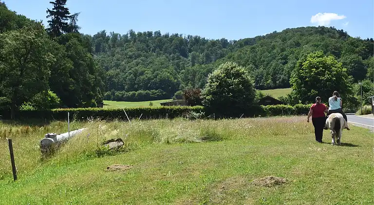 Ferienwohnung in Hüddingen