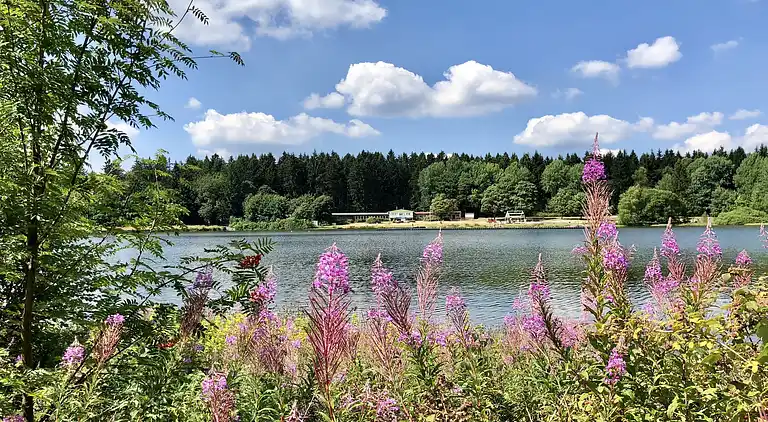 Sommerhus i Clausthal-Zellerfeld