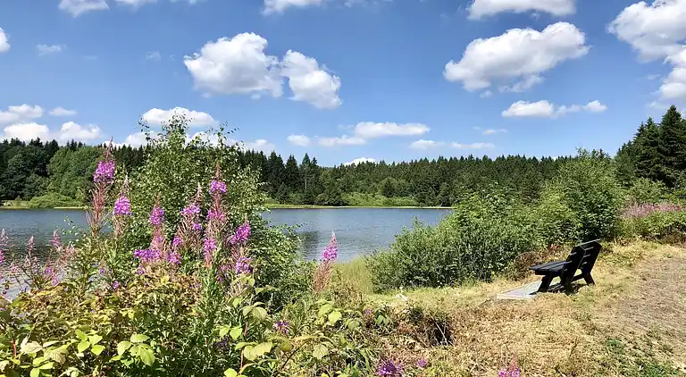 Sommerhus i Clausthal-Zellerfeld