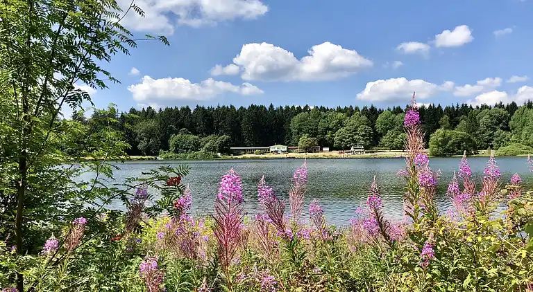 Sommerhus i Clausthal-Zellerfeld