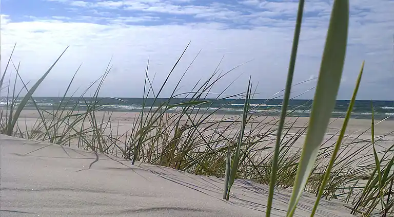 Chalet in Smołdziński Las