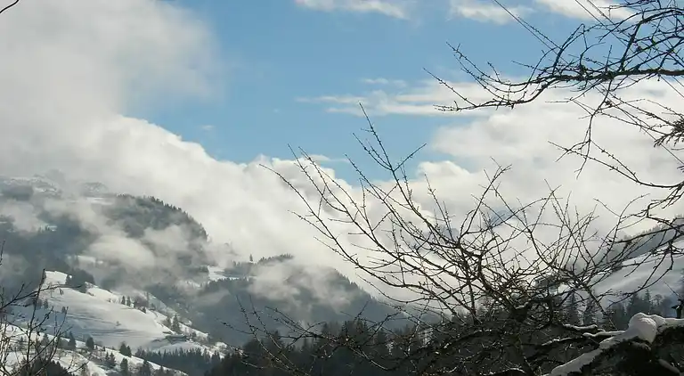 Ferielejlighed i Dienten am Hochkönig