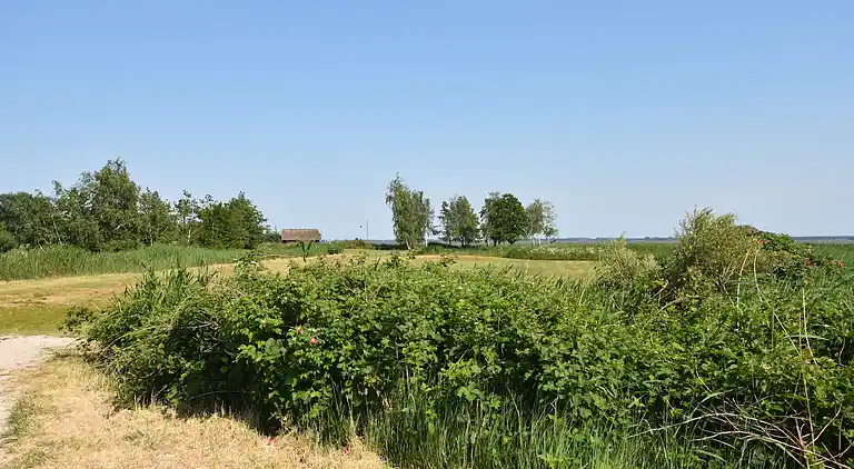 Ferielejlighed i Groß Kordshagen