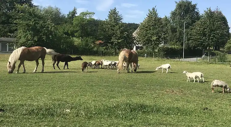 Gårdhus i Kühlungsborn