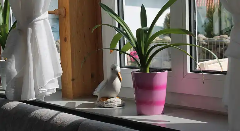 Ferielejlighed i Nienhagen