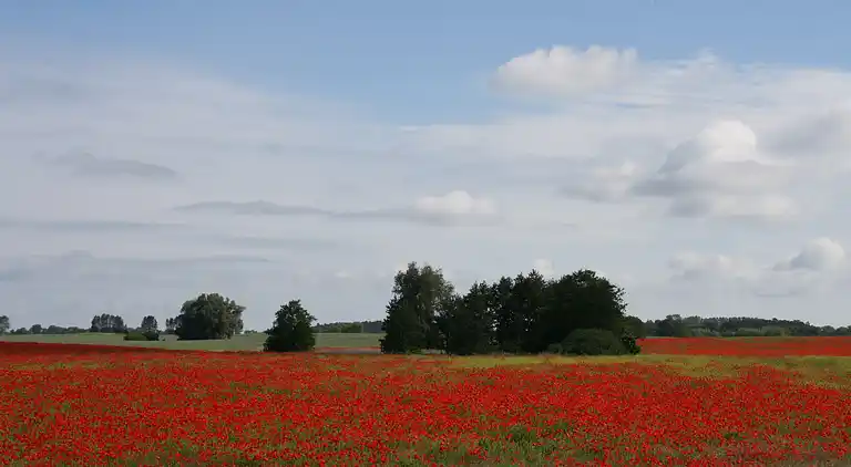 Bungalow i Fuhlendorf
