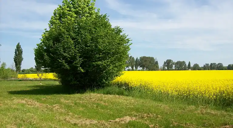 Appartement in Neuburg
