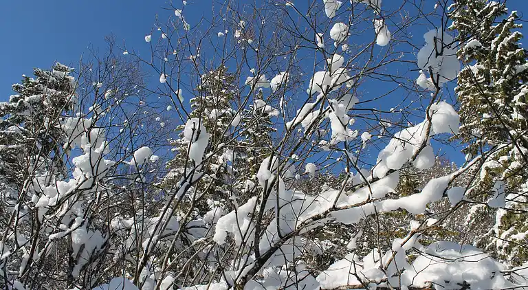 Ferienwohnung in Neuburg