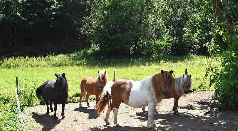 Gårdhus i Hüddingen