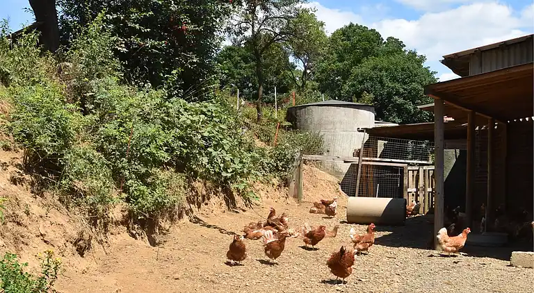 Gårdhus i Hüddingen