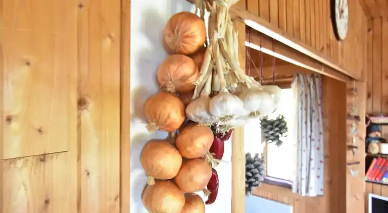 Cottage in Saulxures-sur-Moselotte