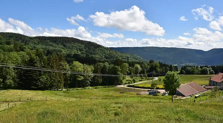 Cottage in Saulxures-sur-Moselotte