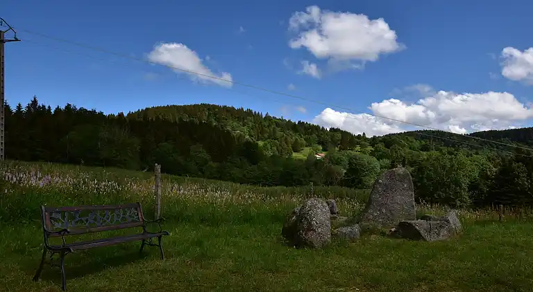 Cottage in Saulxures-sur-Moselotte