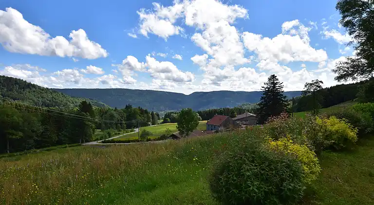 Cottage in Saulxures-sur-Moselotte